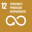 12 Consumo e produção responsáveis