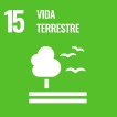 15 Vida terrestre