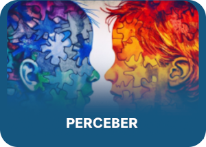 PERCEBER A