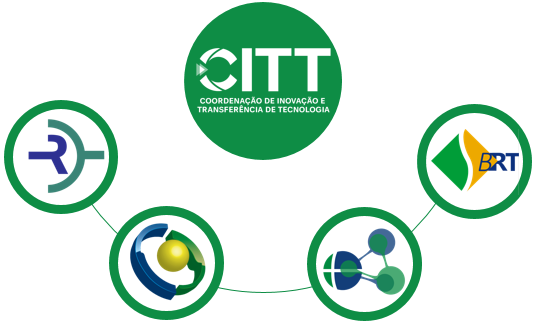 CITT organograma