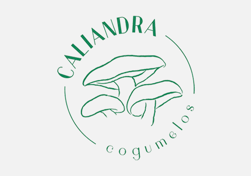 caliandra 