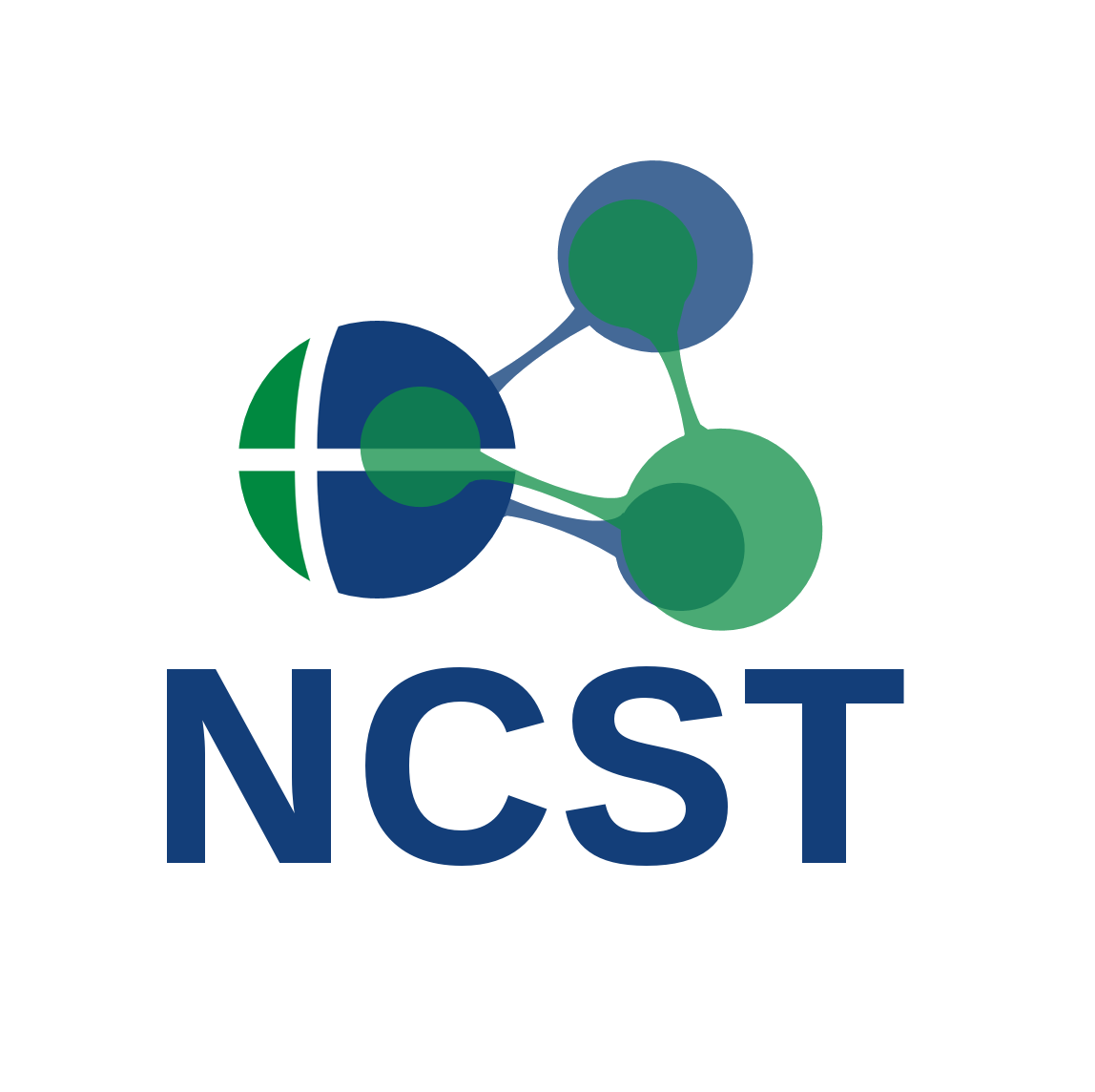 NCST marca vertical